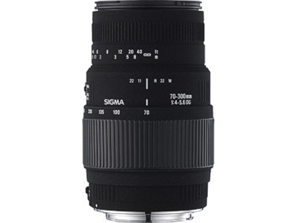 l511.jpg