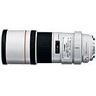 Canon EF 300mm F4.0L IS USM Lens