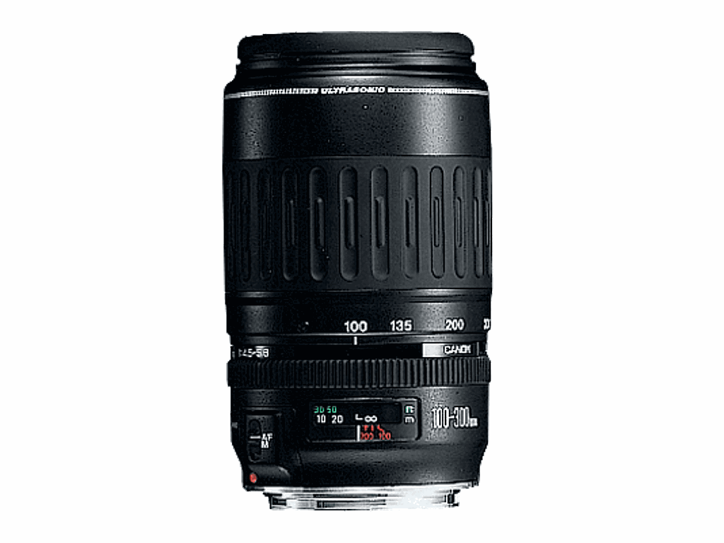 Canon Ef 100 300mm F4 5 5 6 Usm Lens