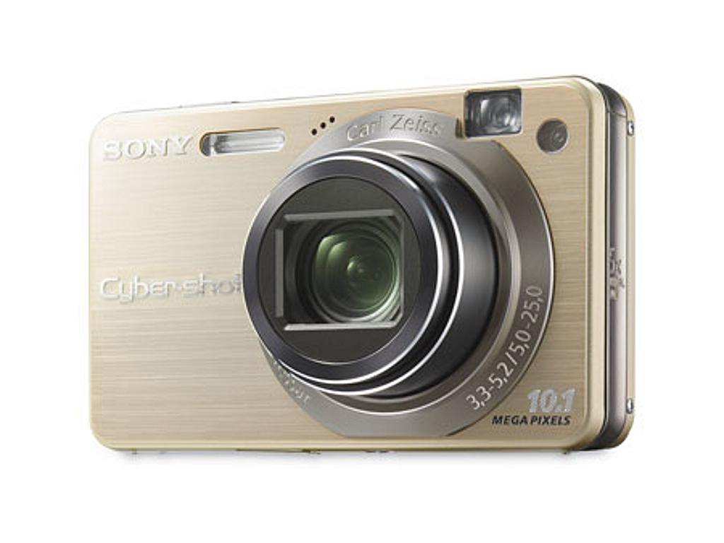 Sony Cyber-shot DSC-W170 Digital Camera - Gold