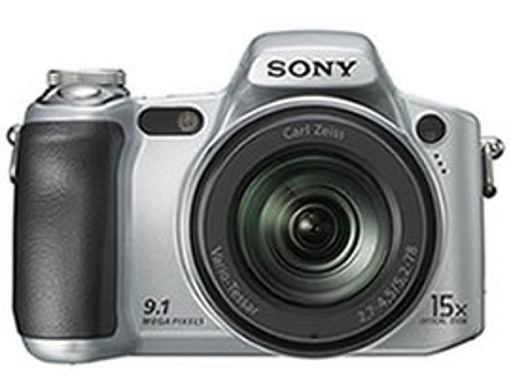 Aap terrorisme oplichter Sony Cyber-shot DSC-H50 Digital Camera - Silver