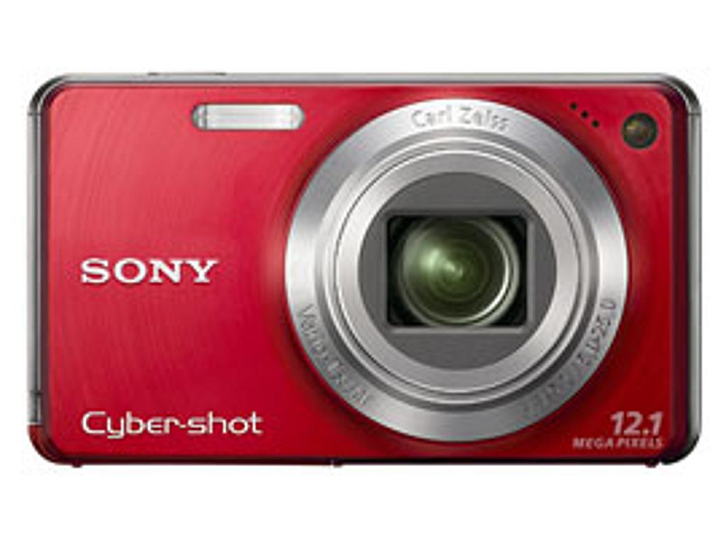 Amazon.com : Sony Cybershot DSCW170/B 10.1MP Digital Camera