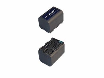 Pisen TS-DV001-BH522 Battery
