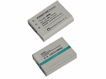 Pisen TS-DV001-NP95 Battery