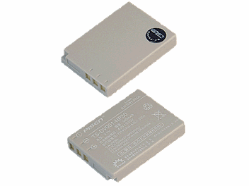 Pisen TS-DV001-NP30 Battery