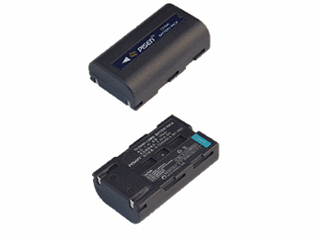 Pisen TS-DV001-LSM80 Battery (pack 10 pcs)