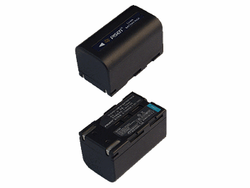 Pisen TS-DV001-LSM160 Battery (pack 10 pcs)