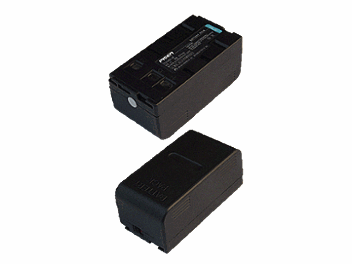 Pisen TS-DV001-2E Battery (pack 10 pcs)