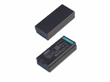 Pisen TS-DV001-FC11 Battery (pack 10 pcs)