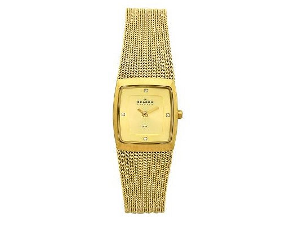 Skagen 380XSGGG1 Steel Ladies Watch display picture 1