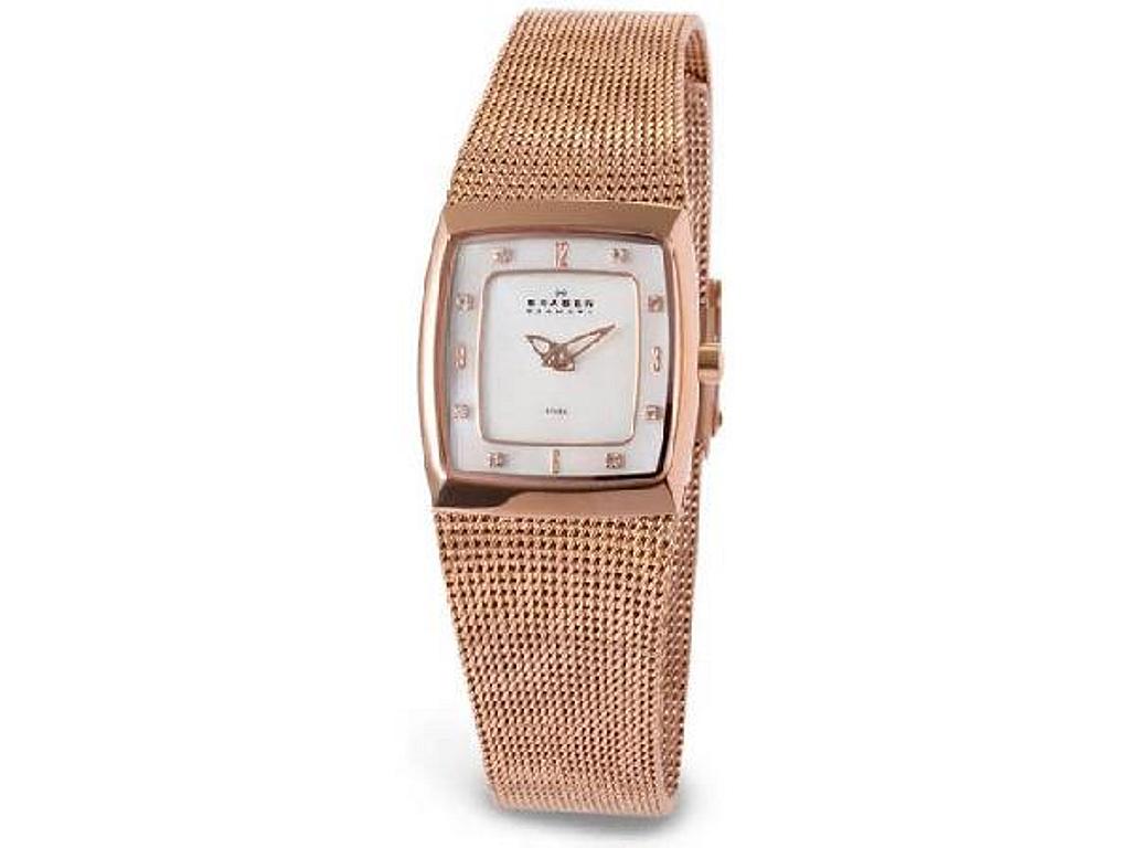 Shops Skagen Ladies Glitz Watch # 459SSXZ1