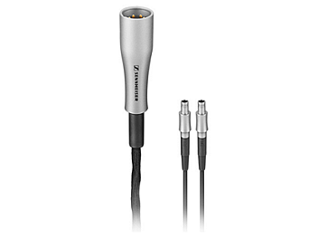 Sennheiser CH800 S High-End Amplifier Cable for HD 800 Headphones